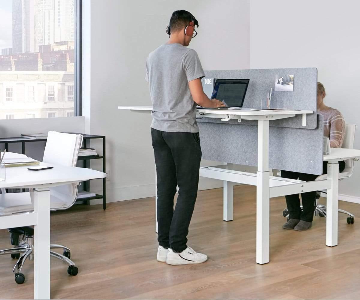 Amli Double Adjustable Standing Desk (49139671957798)