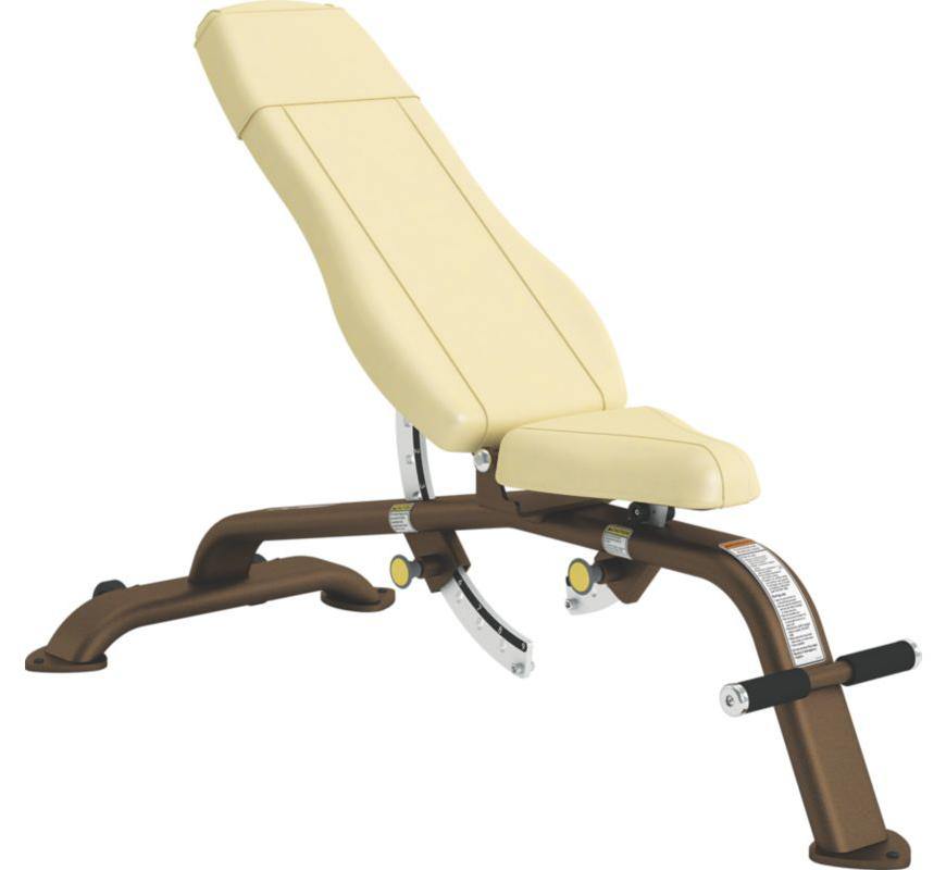 Cybex Adjustable Bench