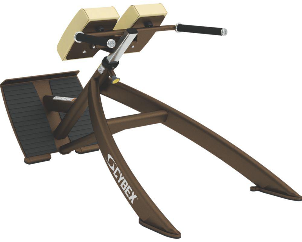 Cybex 45 degree Back Extension