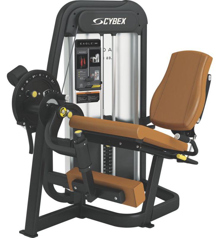 Cybex Eagle NX Leg Extension Selectorised