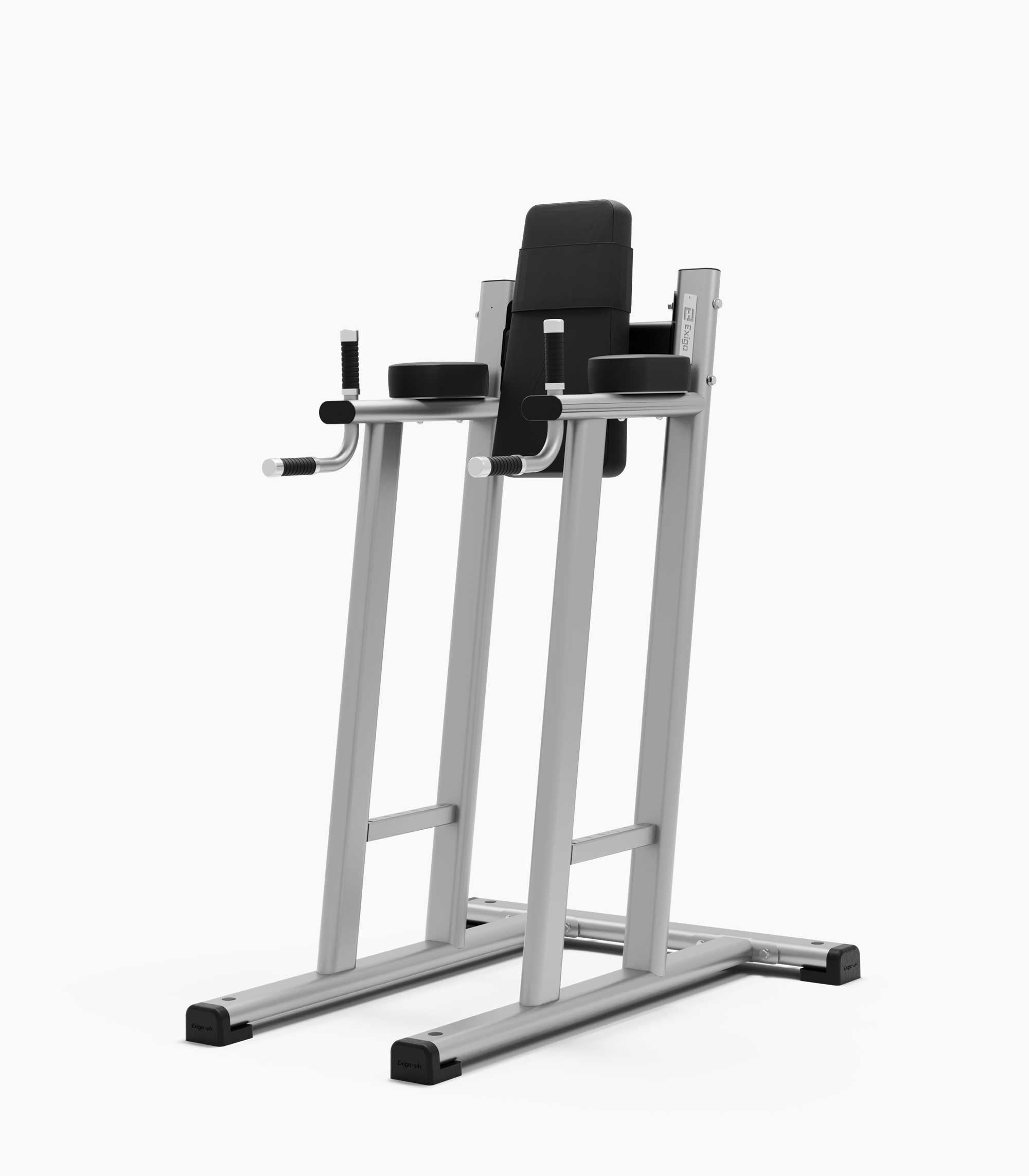 Exigo Leg Raise / Dip Station