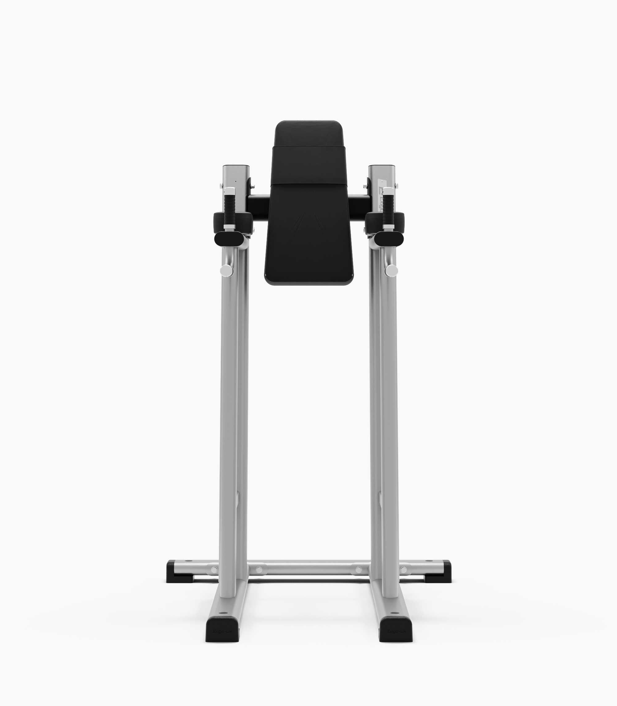 Exigo Leg Raise / Dip Station