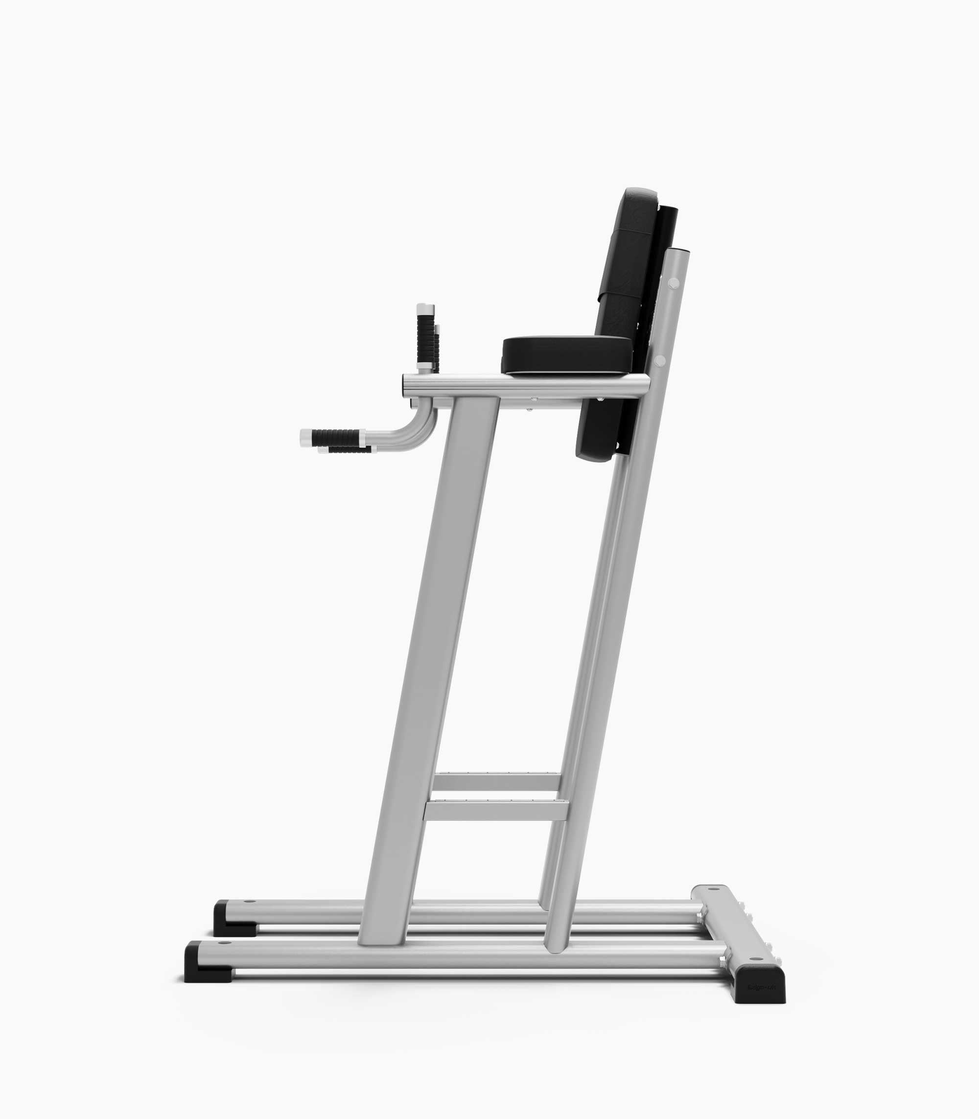 Exigo Leg Raise / Dip Station