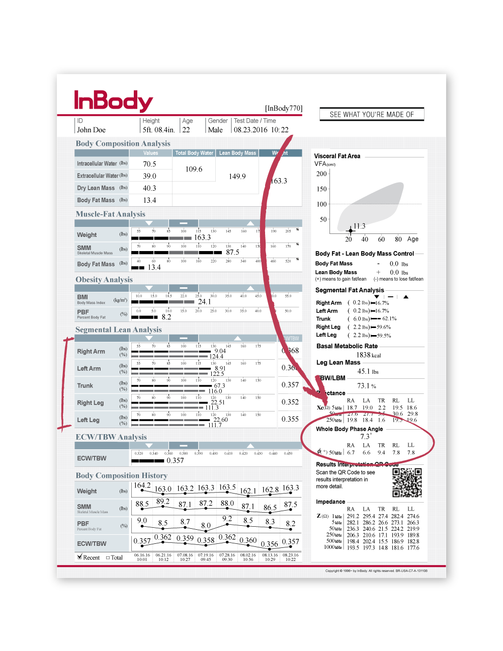 InBody 770 Body Composition Analyser Package