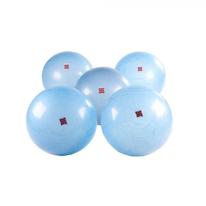 BOSU Ballast Ball Club Pack (5 x 65cm Ball, DVD, Pump)