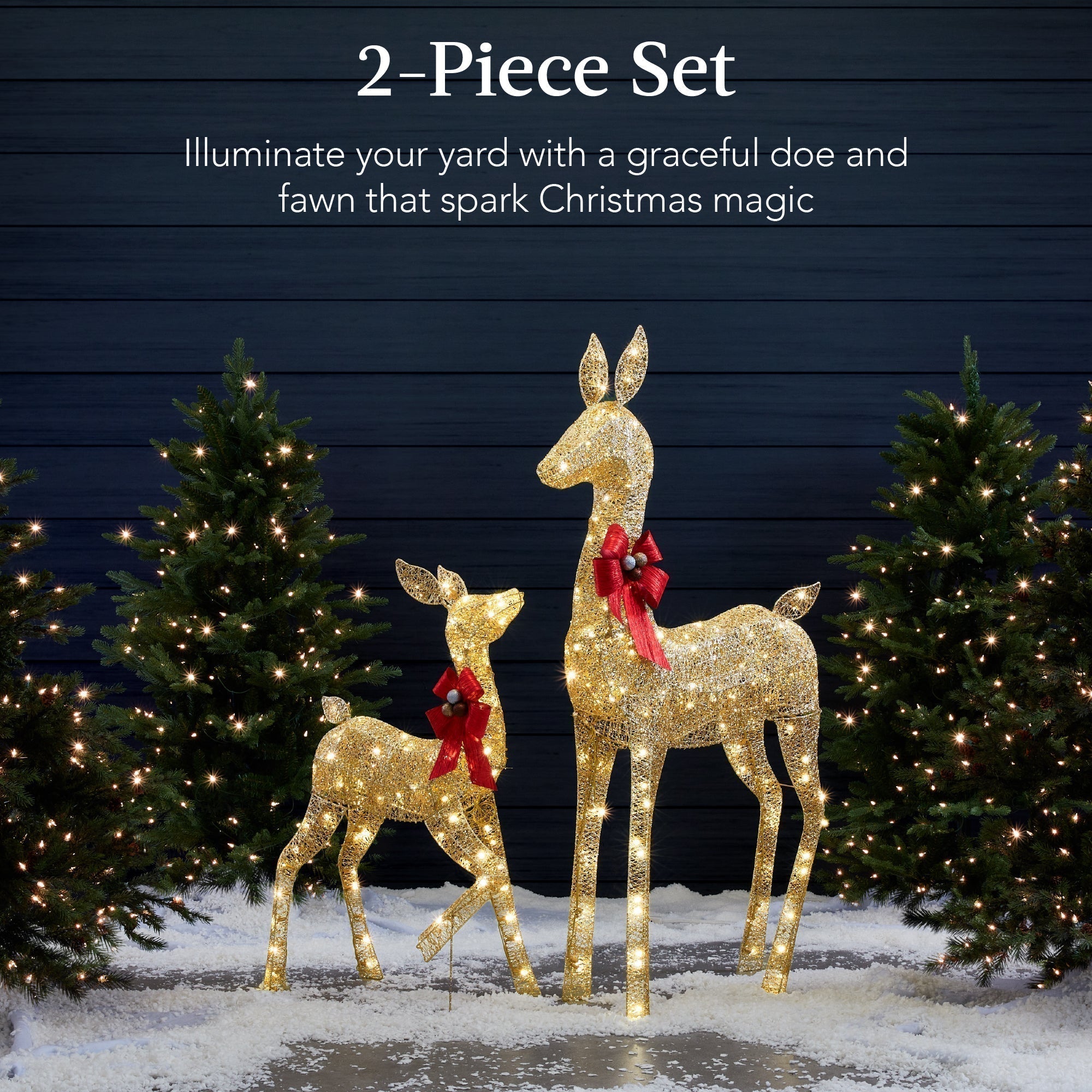 2-Piece Lighted Christmas Deer Family Outdoor Decor Set with LED Lights (49140503413030)