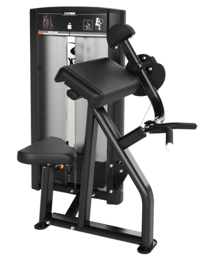 Cybex Ion Biceps Curl