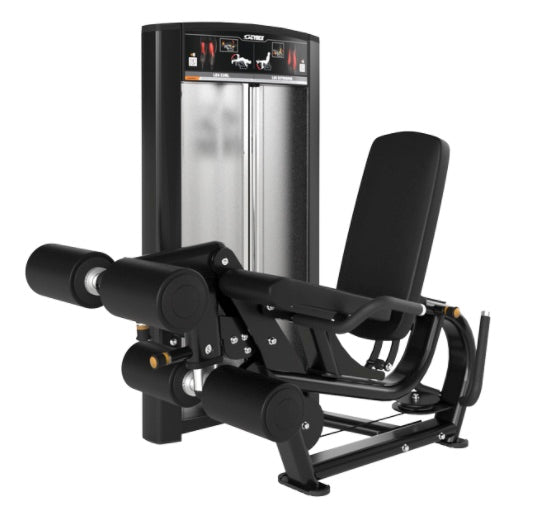 Cybex Ion Leg Curl/Extension