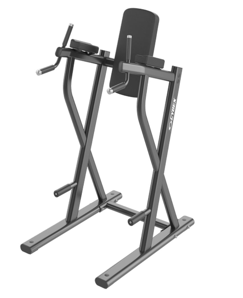 Cybex Ion Dip/Leg Raise