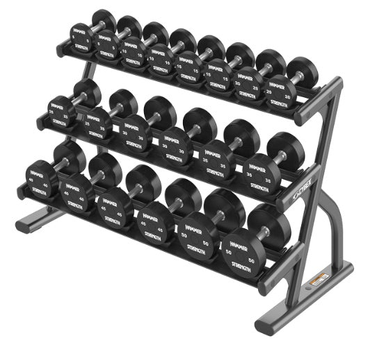 Cybex Ion Saddle Dumbbell Rack