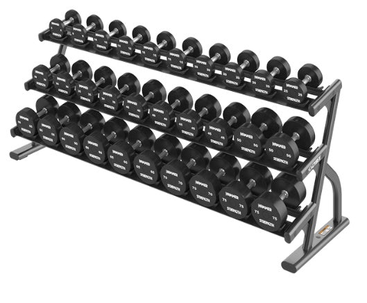 Cybex Ion Saddle Dumbbell Rack