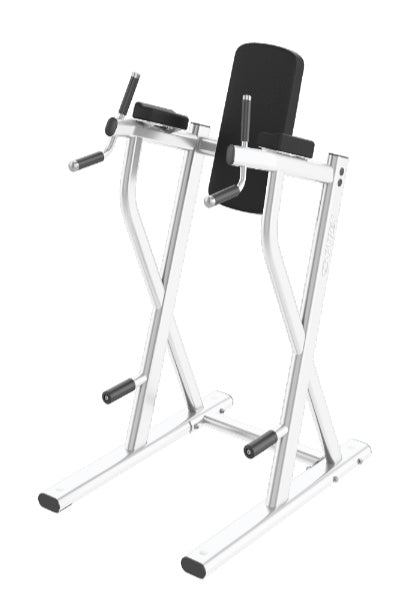 Cybex Ion Dip/Leg Raise