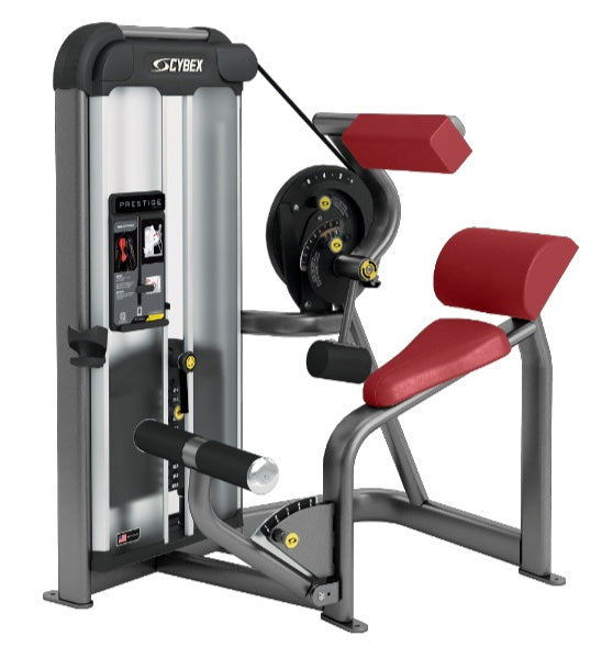 Cybex Prestige Series Back Extension Selectorised