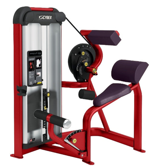 Cybex Prestige Series Back Extension Selectorised