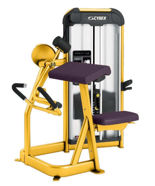 Cybex Prestige Series Arm Curl Selectorised