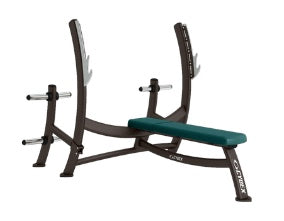 Cybex Olympic Bench Press