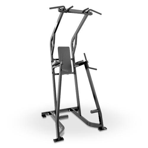 Life Fitness Signature Series Chin/Dip/Leg Raise