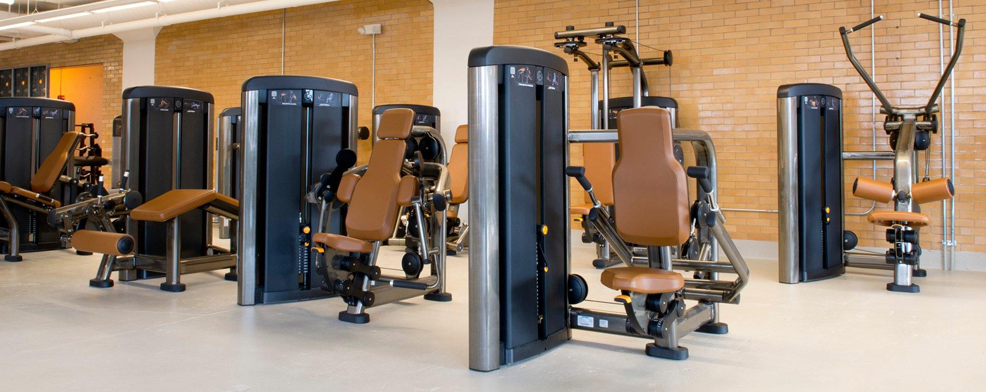 Life Fitness Insignia Series Back Extension Selectorised