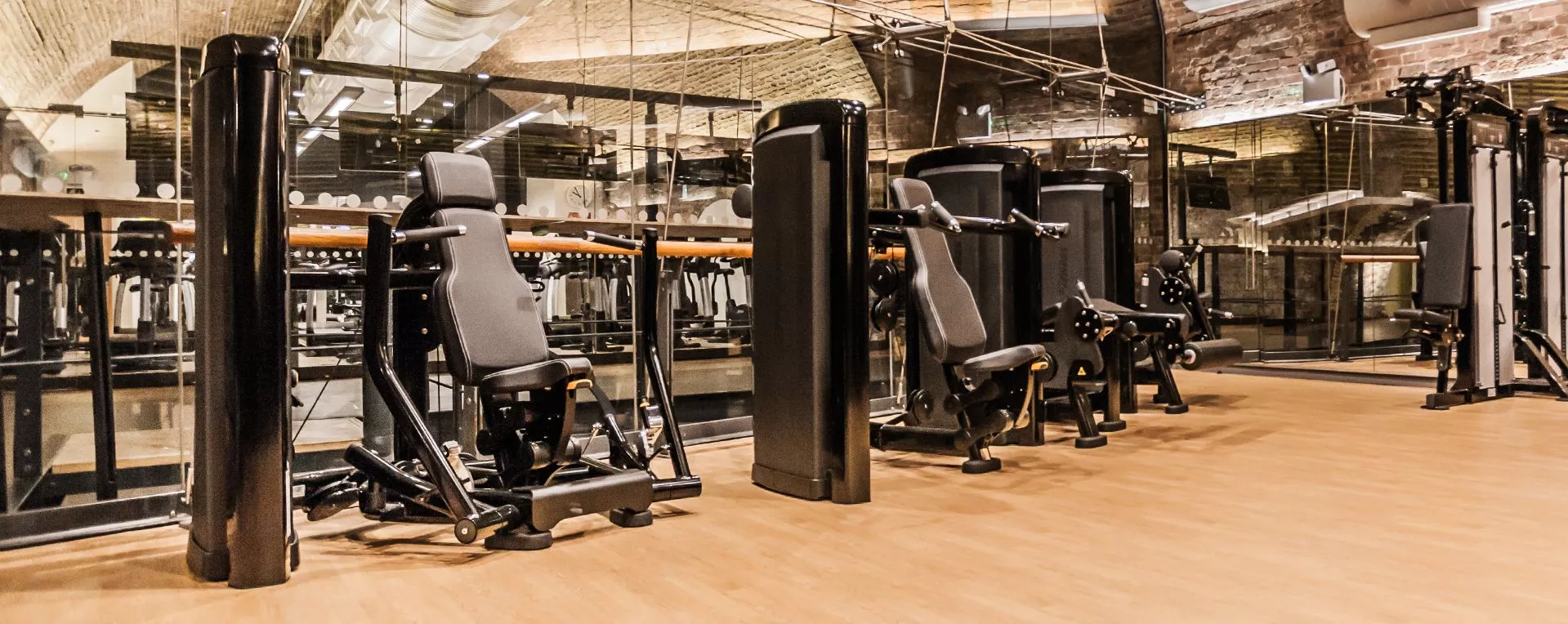 Life Fitness Insignia Series Back Extension Selectorised