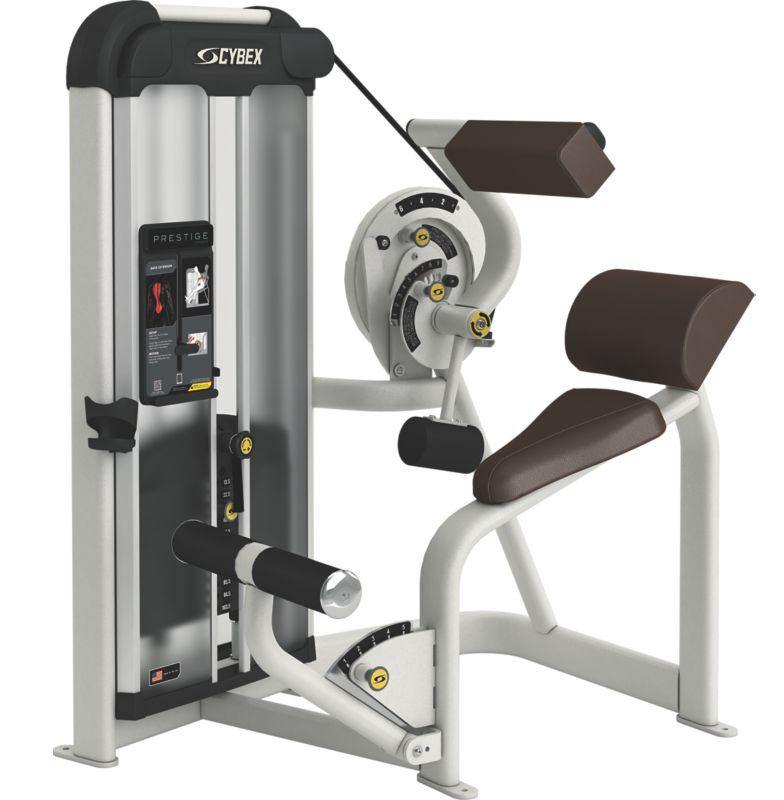 Cybex Prestige Series Back Extension Selectorised